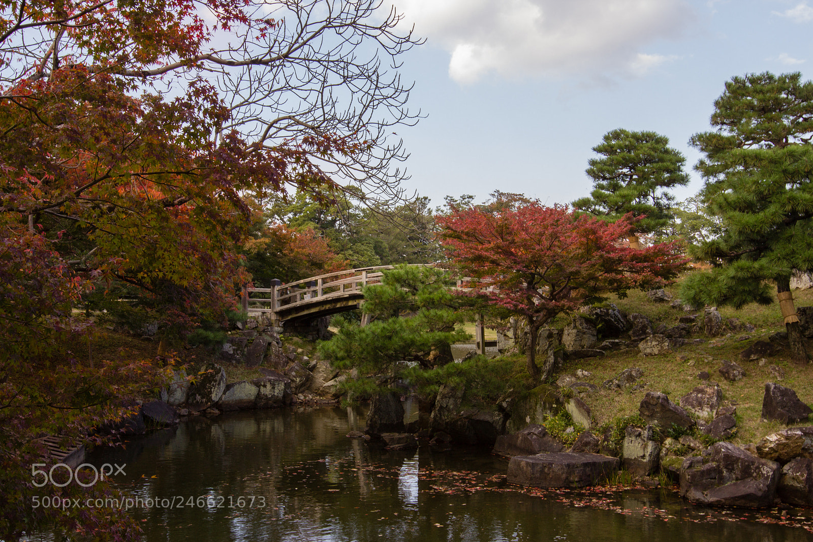 Canon EOS 600D (Rebel EOS T3i / EOS Kiss X5) sample photo. Triste automne photography