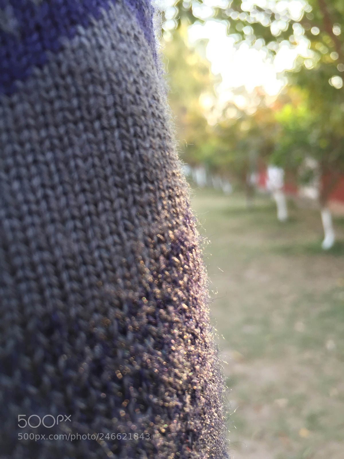 Apple iPhone 6 sample photo. Untitled photography
