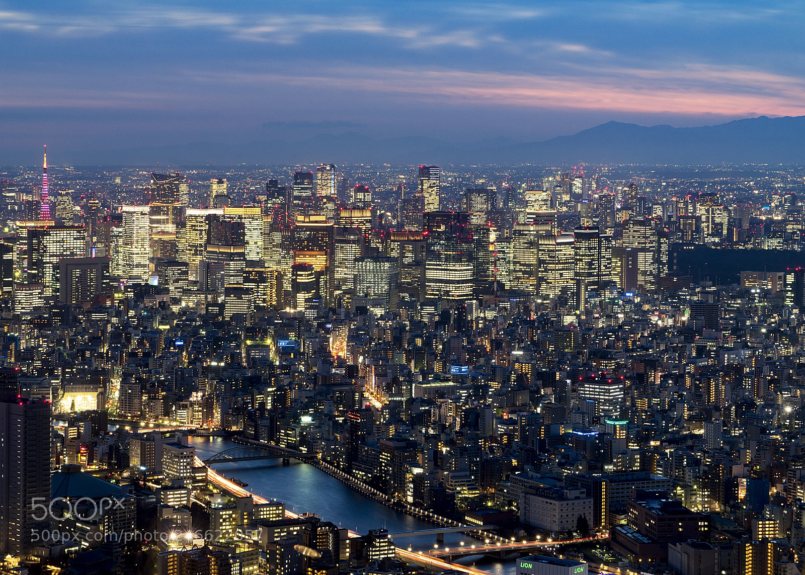 Sony a7R sample photo. Brilliant nights of tokyo photography