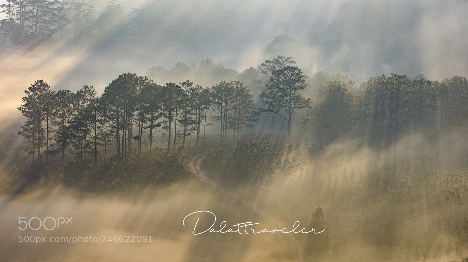 Canon EOS 5DS R sample photo. Misty road photography