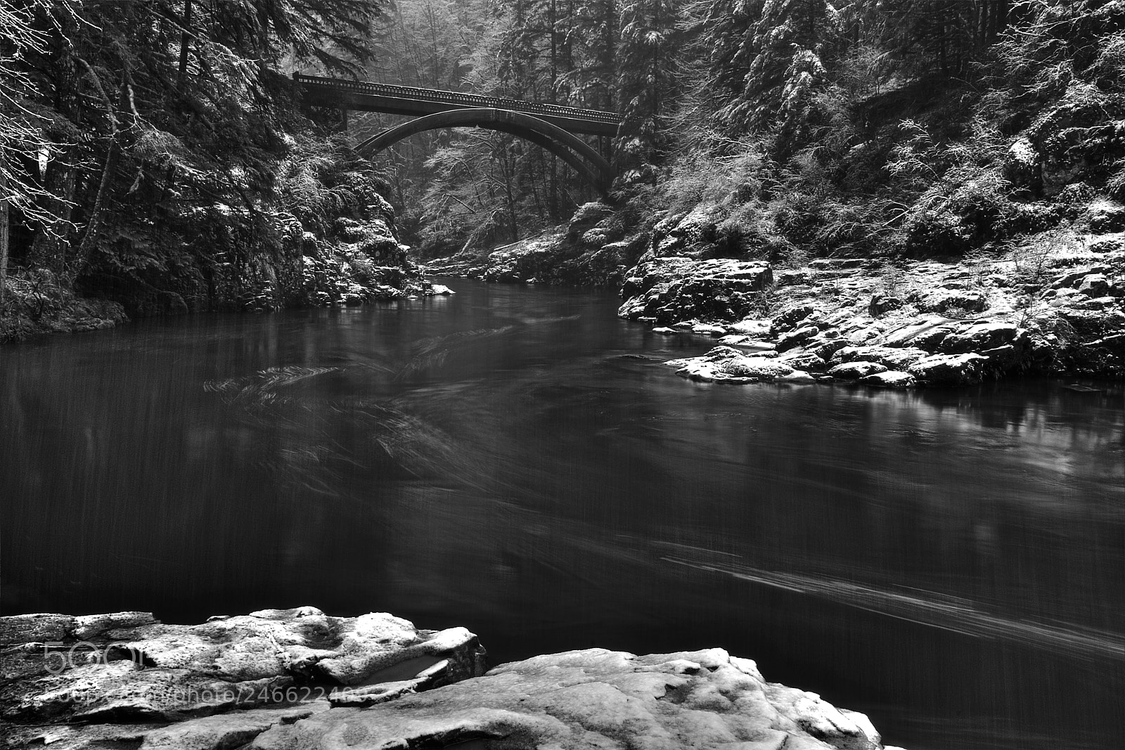 Nikon D7200 sample photo. East fork of the photography