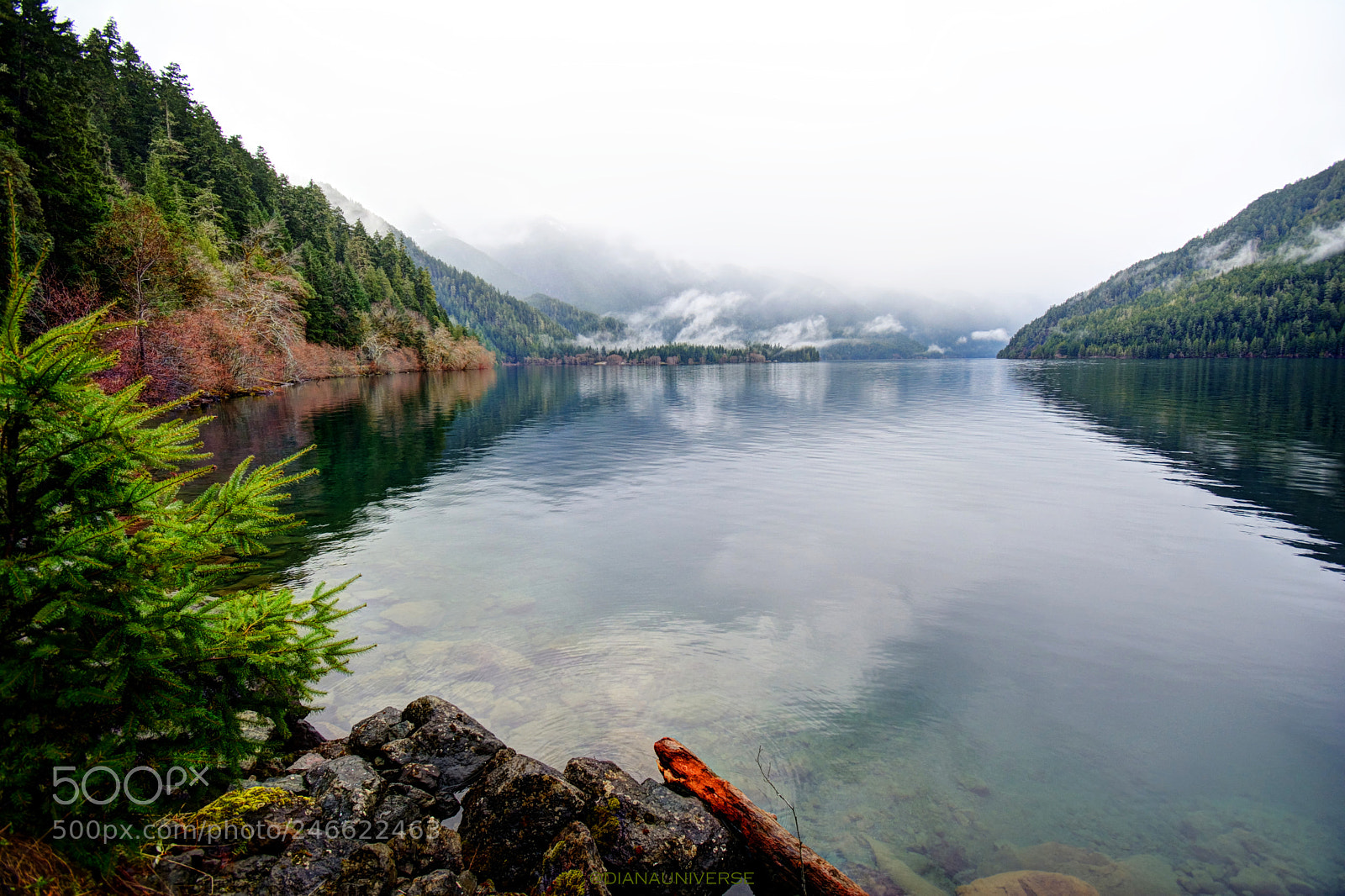 Nikon D7100 sample photo. Home turf photography