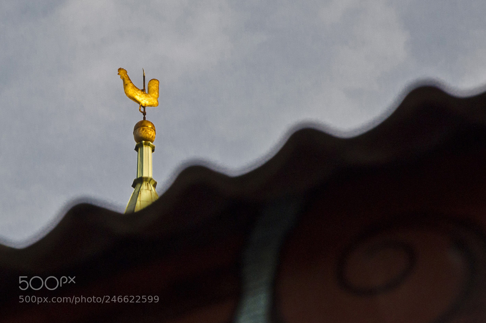 Nikon D5100 sample photo. Lublin photography