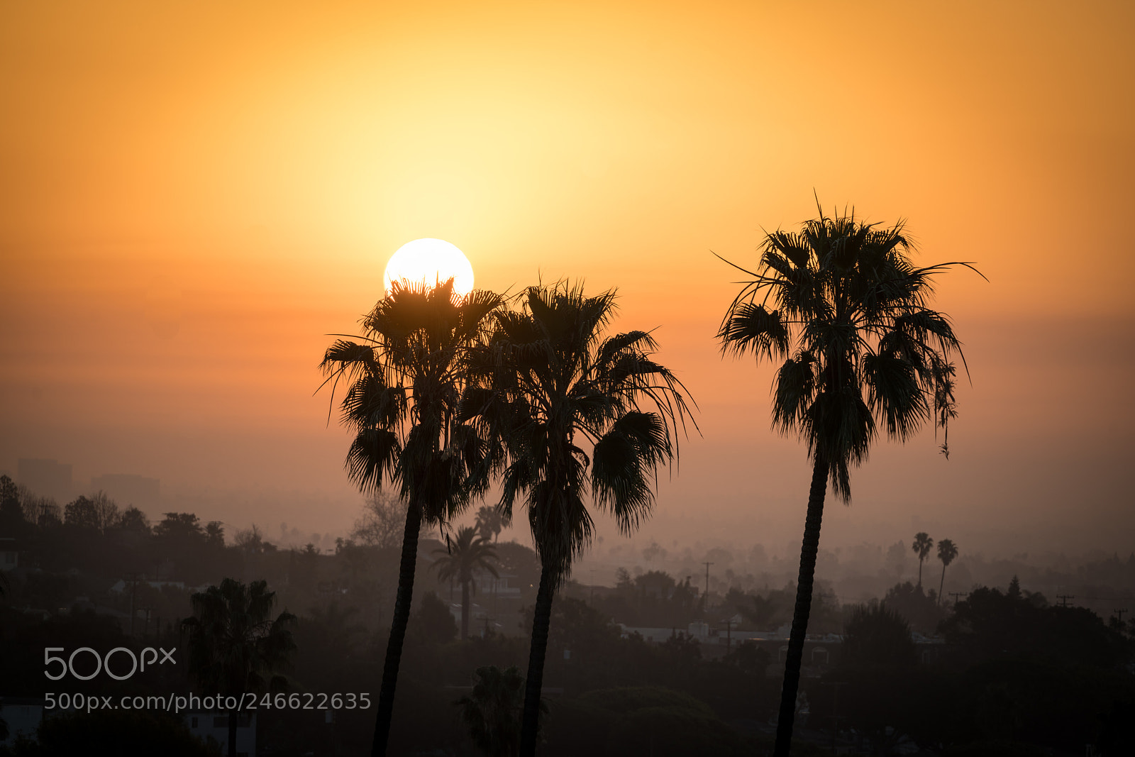Sony a7R II sample photo. La sunrise photography
