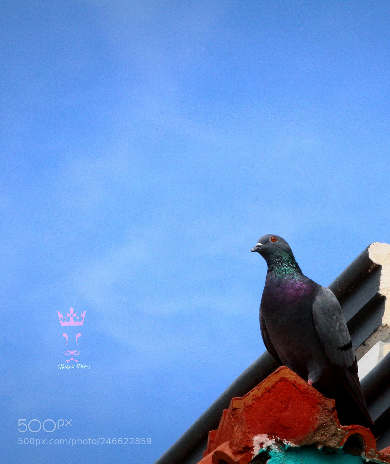 Canon EOS 1300D (EOS Rebel T6 / EOS Kiss X80) sample photo. Pegon photography