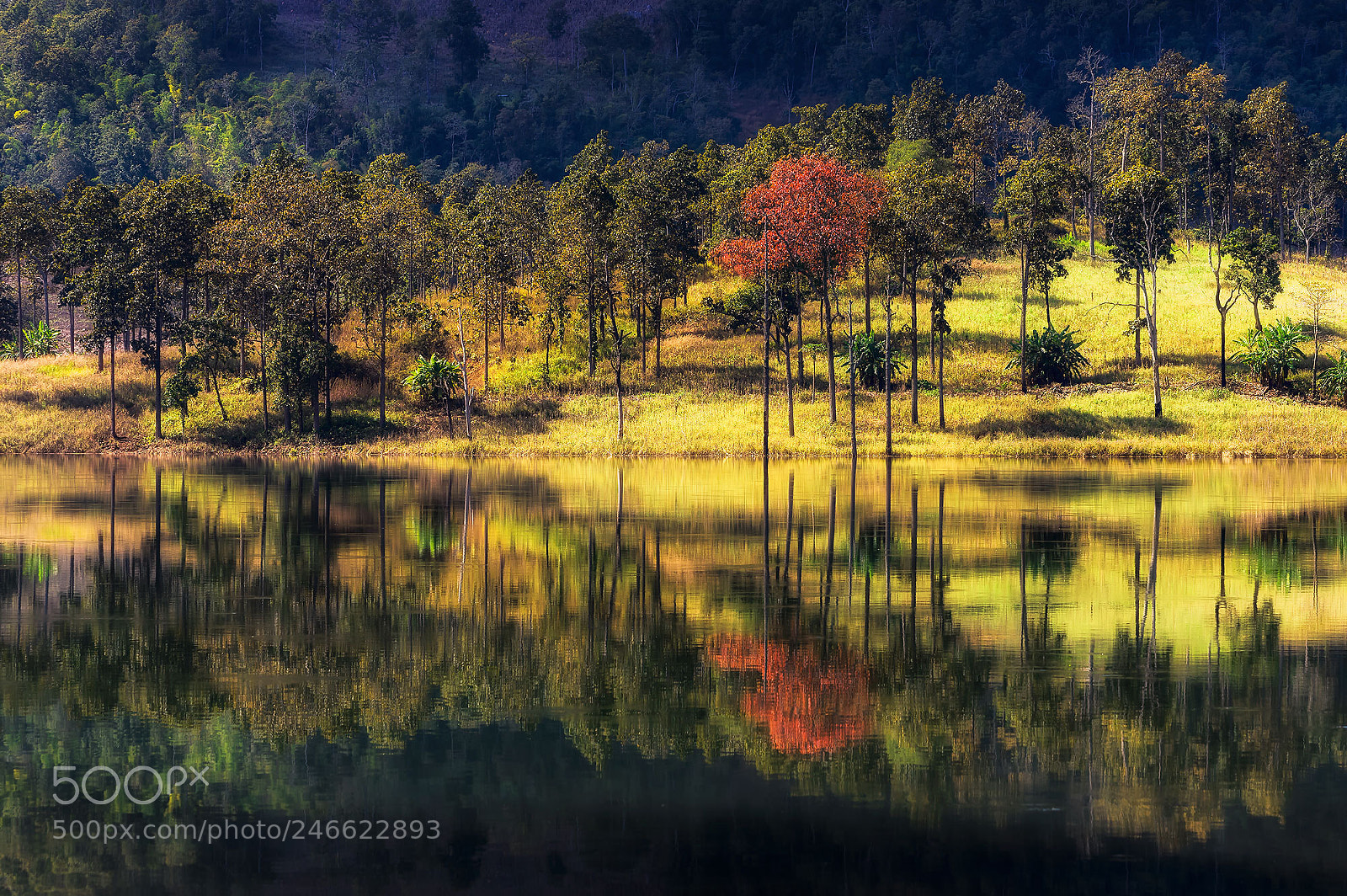 Pentax K-3 II sample photo. Reflections of silent photography