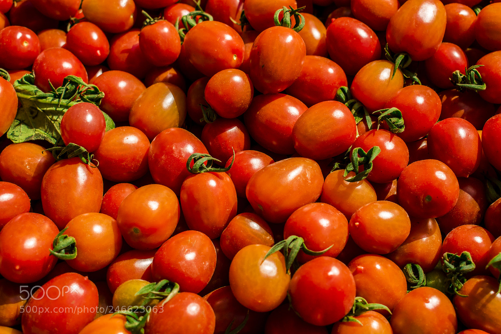 Nikon D5300 sample photo. Cherry tomato photography
