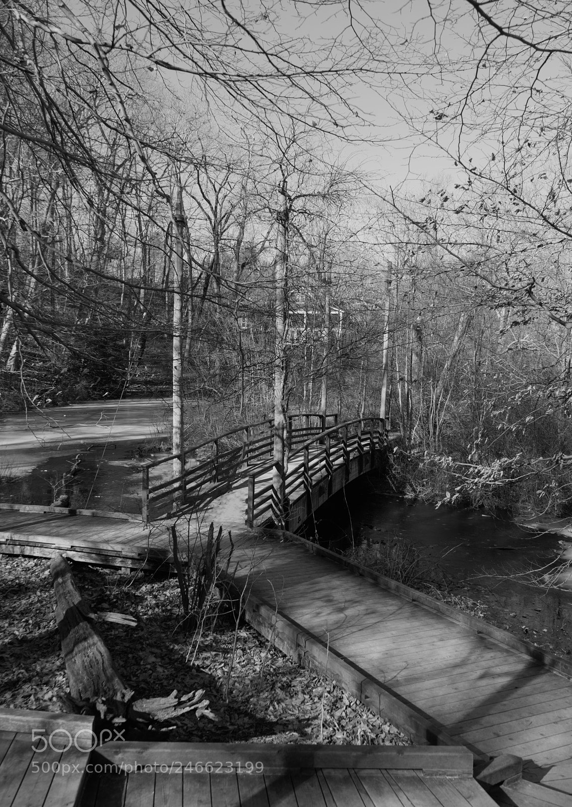 Sony a7 sample photo. Avalon park photography