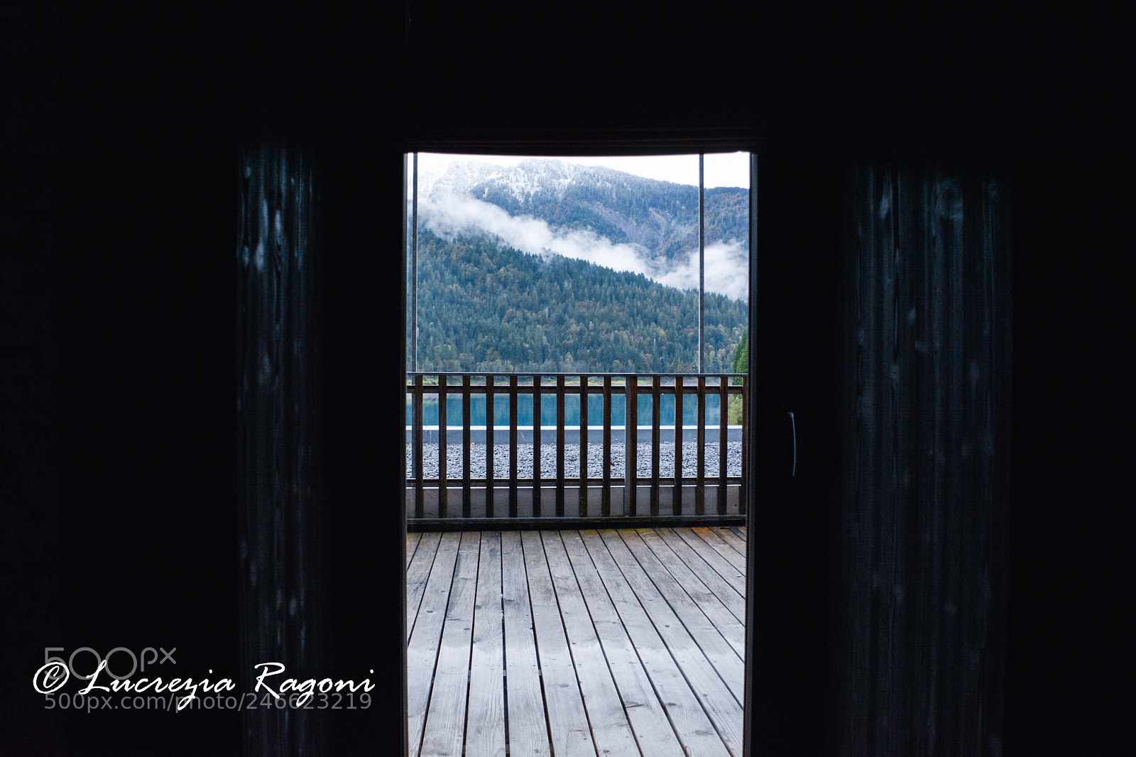 Nikon D5200 sample photo. Untitled photography
