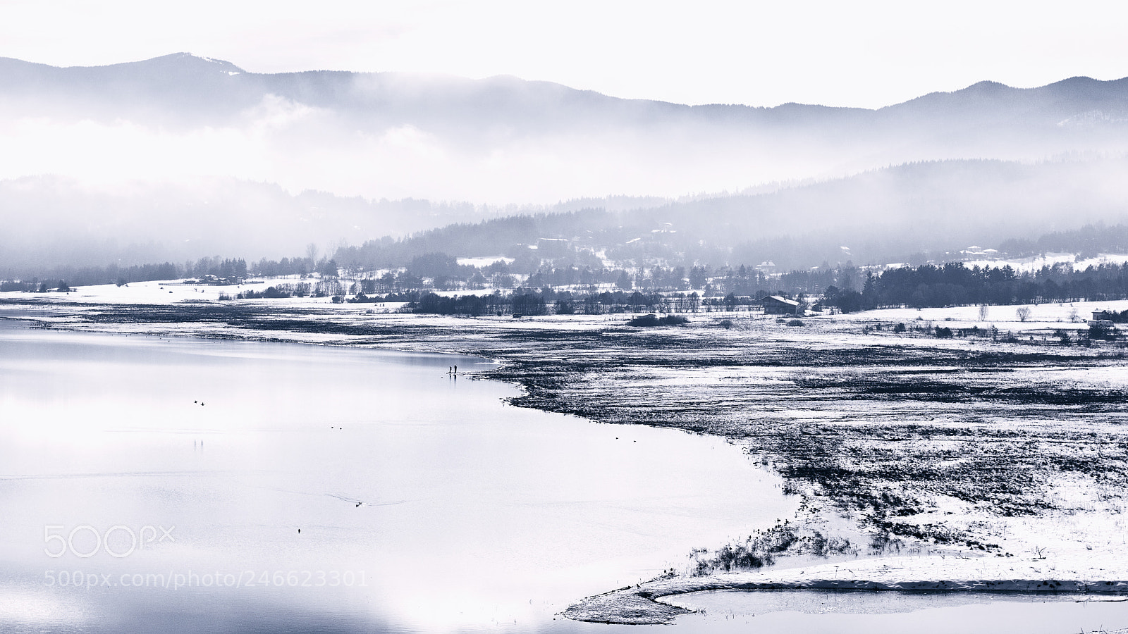 Nikon D7200 sample photo. February morning photography