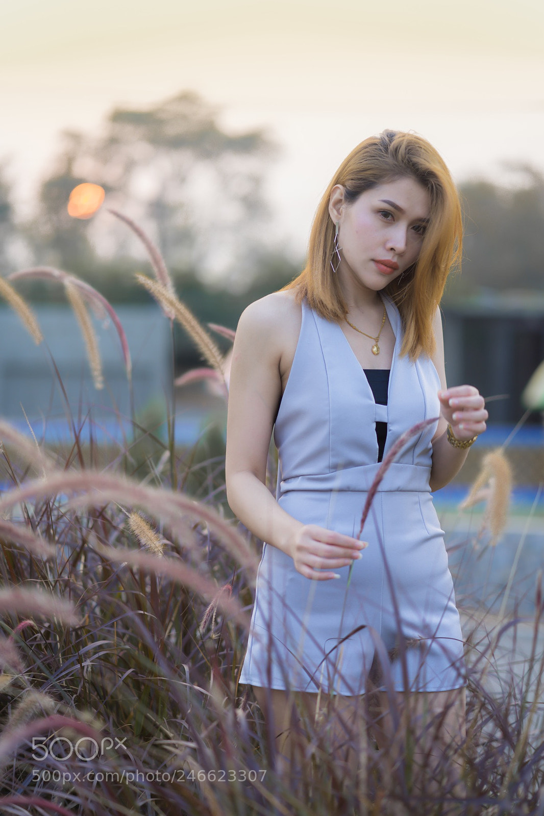 Sony a7 II sample photo. Smooth.... photography