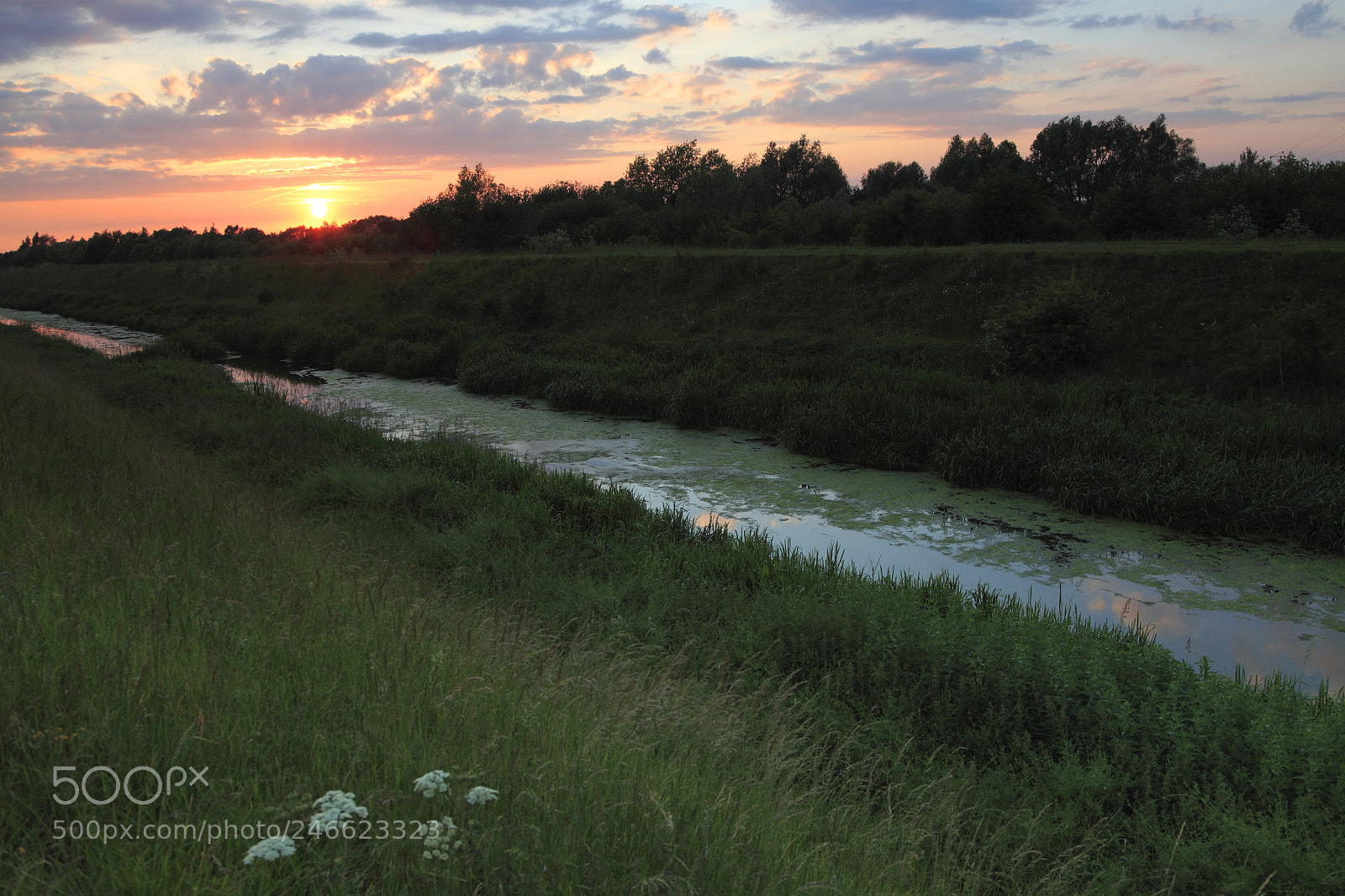 Canon EOS 5D Mark II sample photo. Summer sunset over a photography