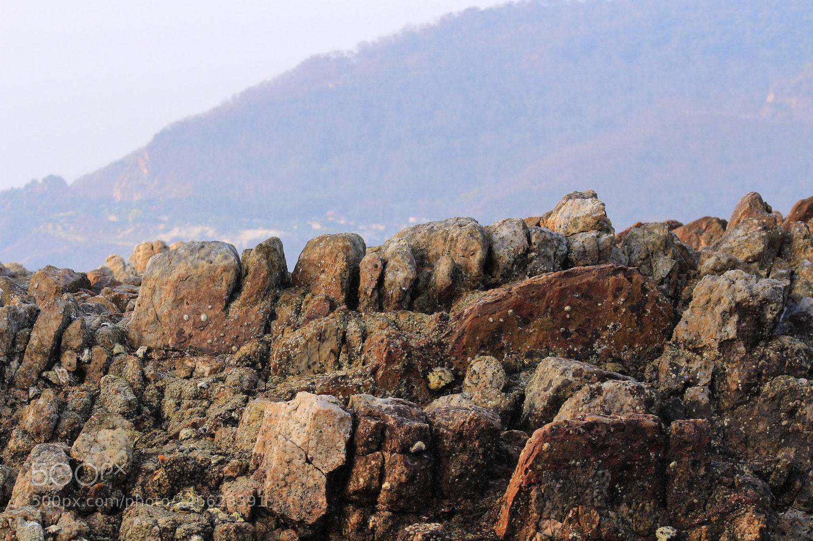 Canon EF-S 55-250mm F4-5.6 IS II sample photo. Details photography