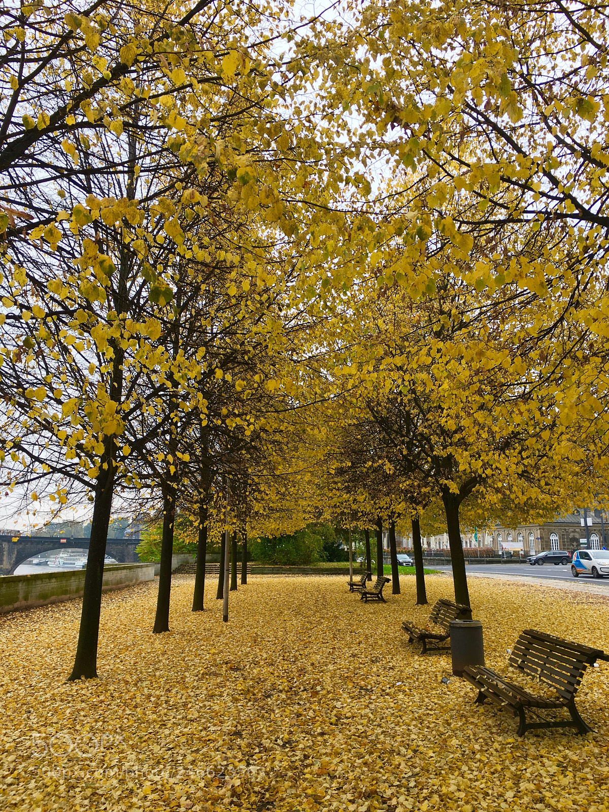 Apple iPhone 6s sample photo. Golden autumn in dresden photography