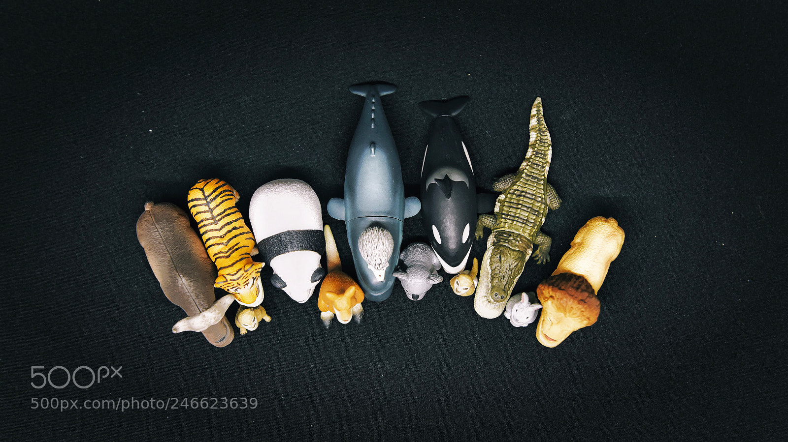 Nikon D810 sample photo. Img photography