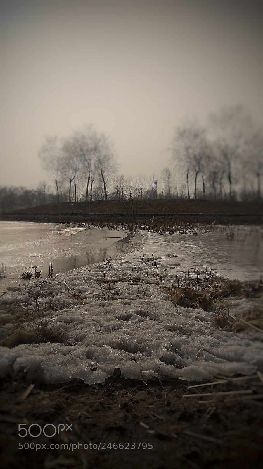 Xiaomi Redmi Note 4X sample photo. Melt photography
