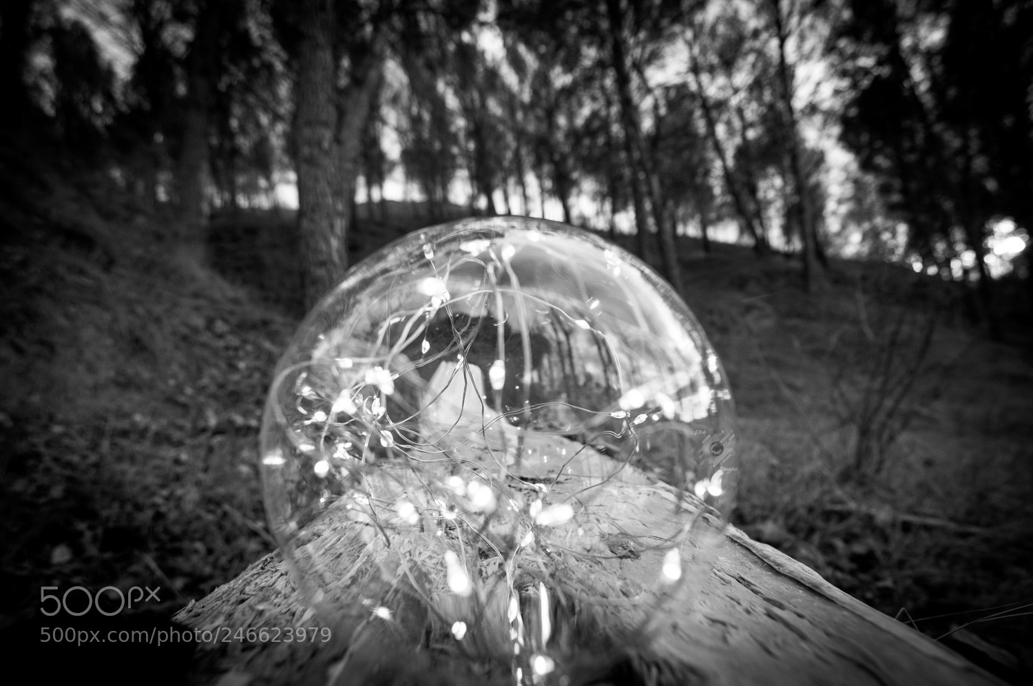 Nikon D7100 sample photo. Luces photography