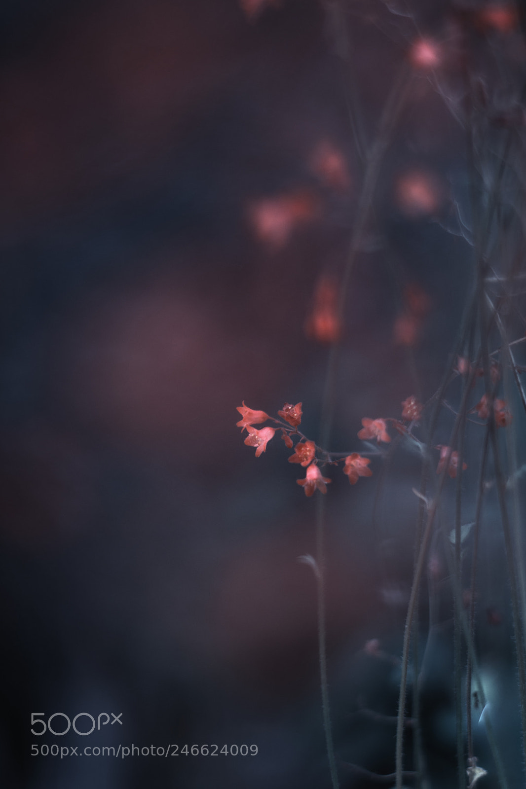 Nikon D7200 sample photo. At dawn photography