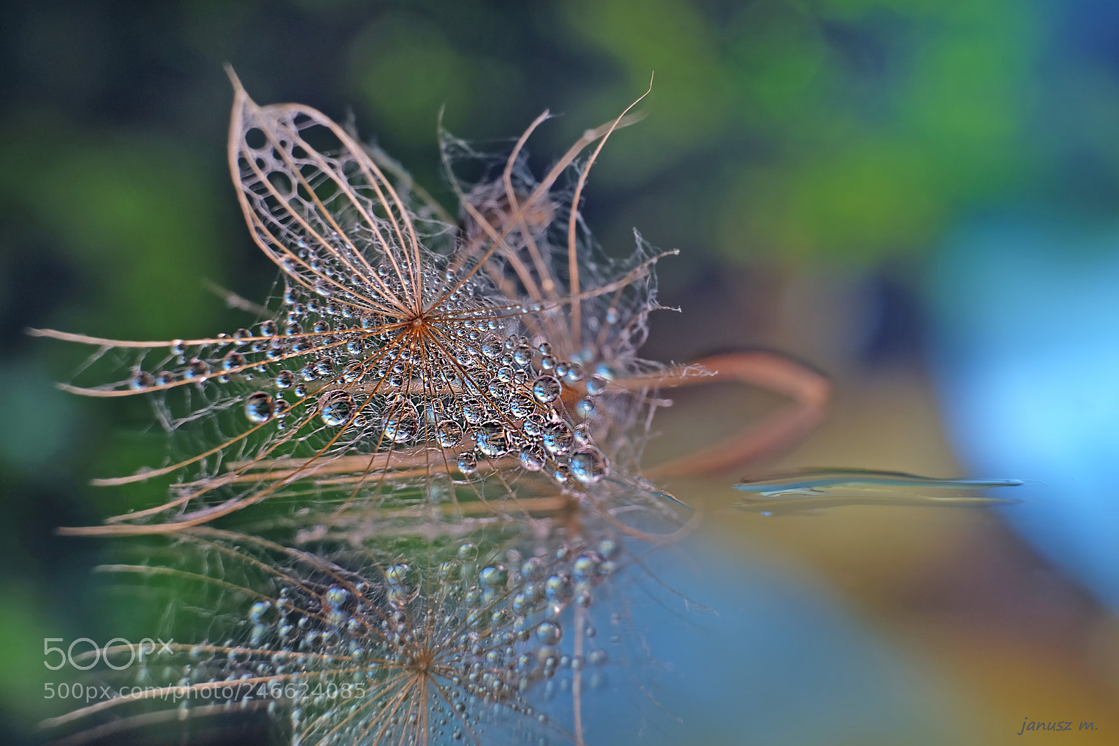 Fujifilm X-T10 sample photo. Small droplets .... photography