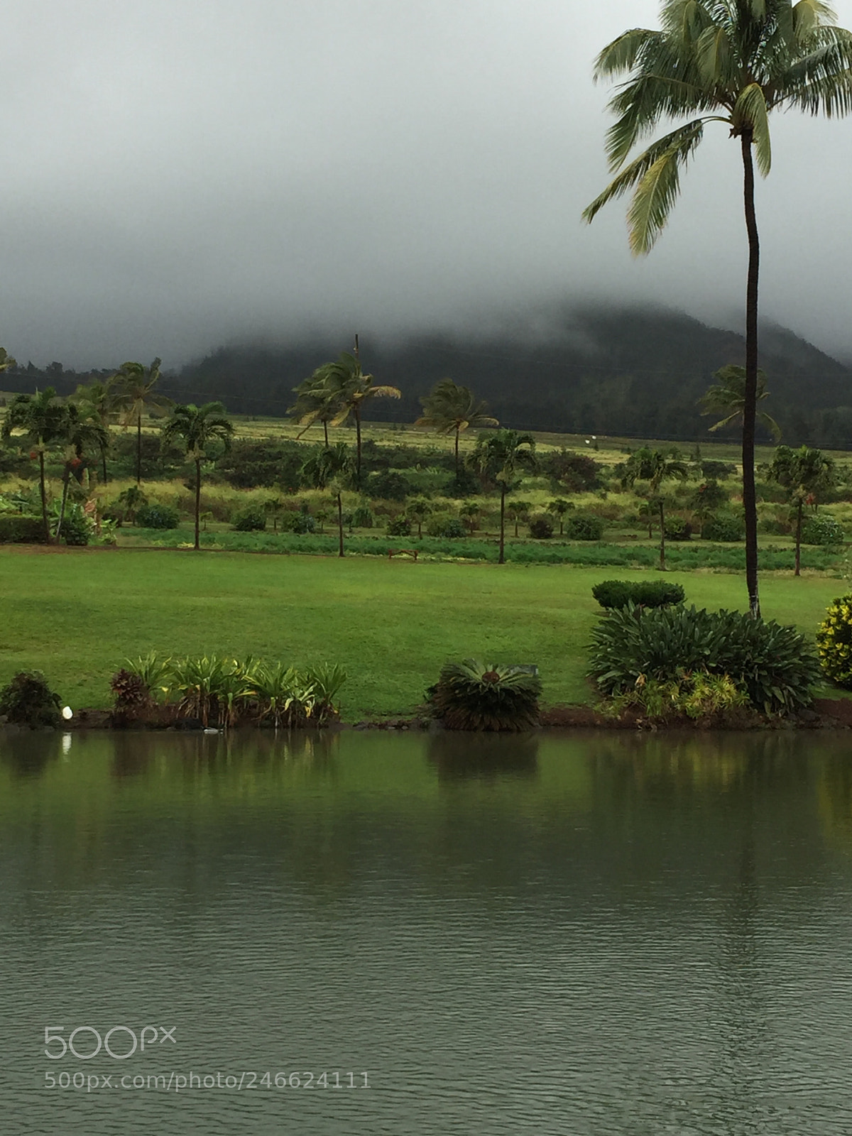 Apple iPhone 6 sample photo. Clouds are lifting photography