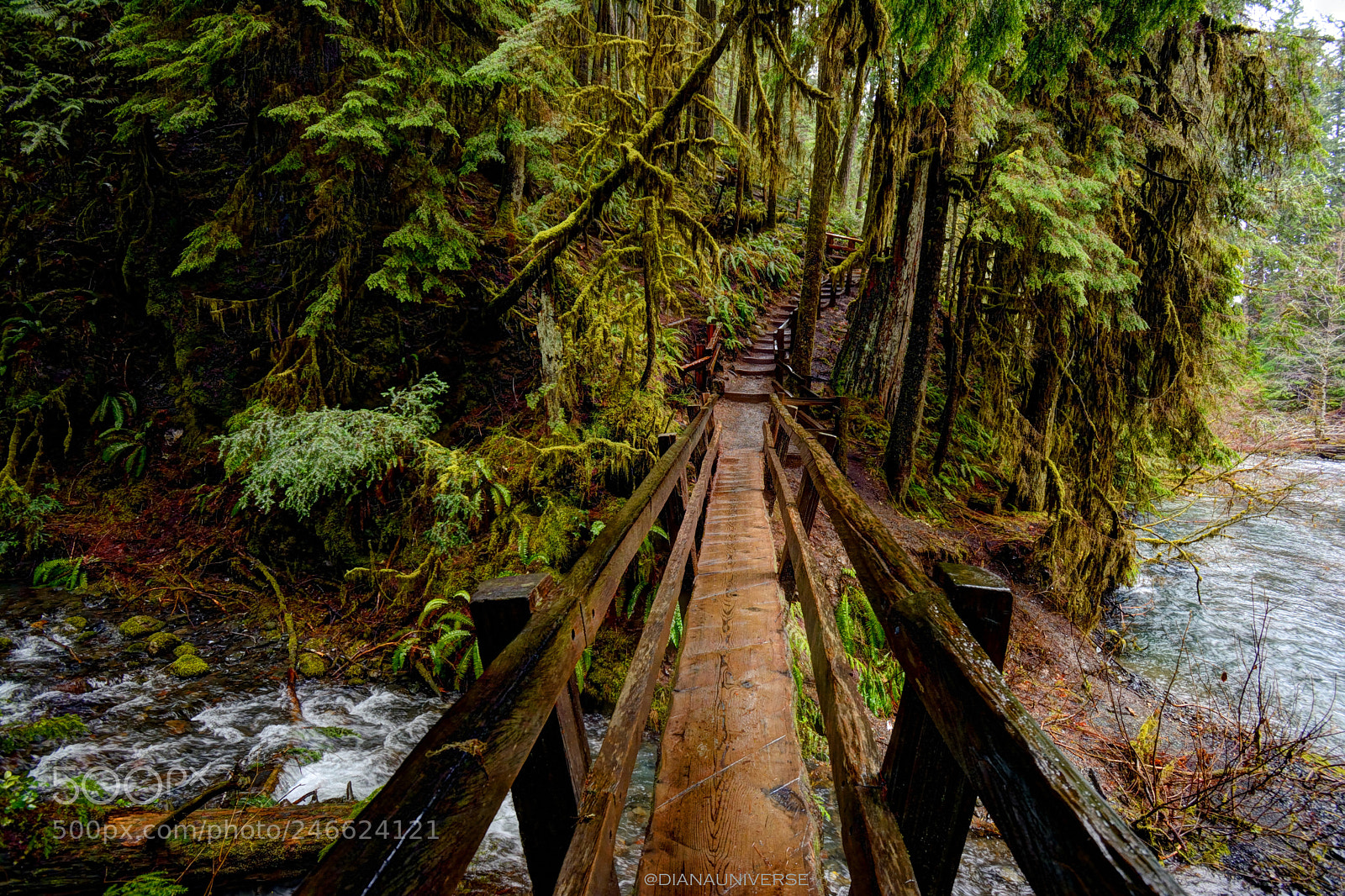 Nikon D7100 sample photo. Mystery trail photography