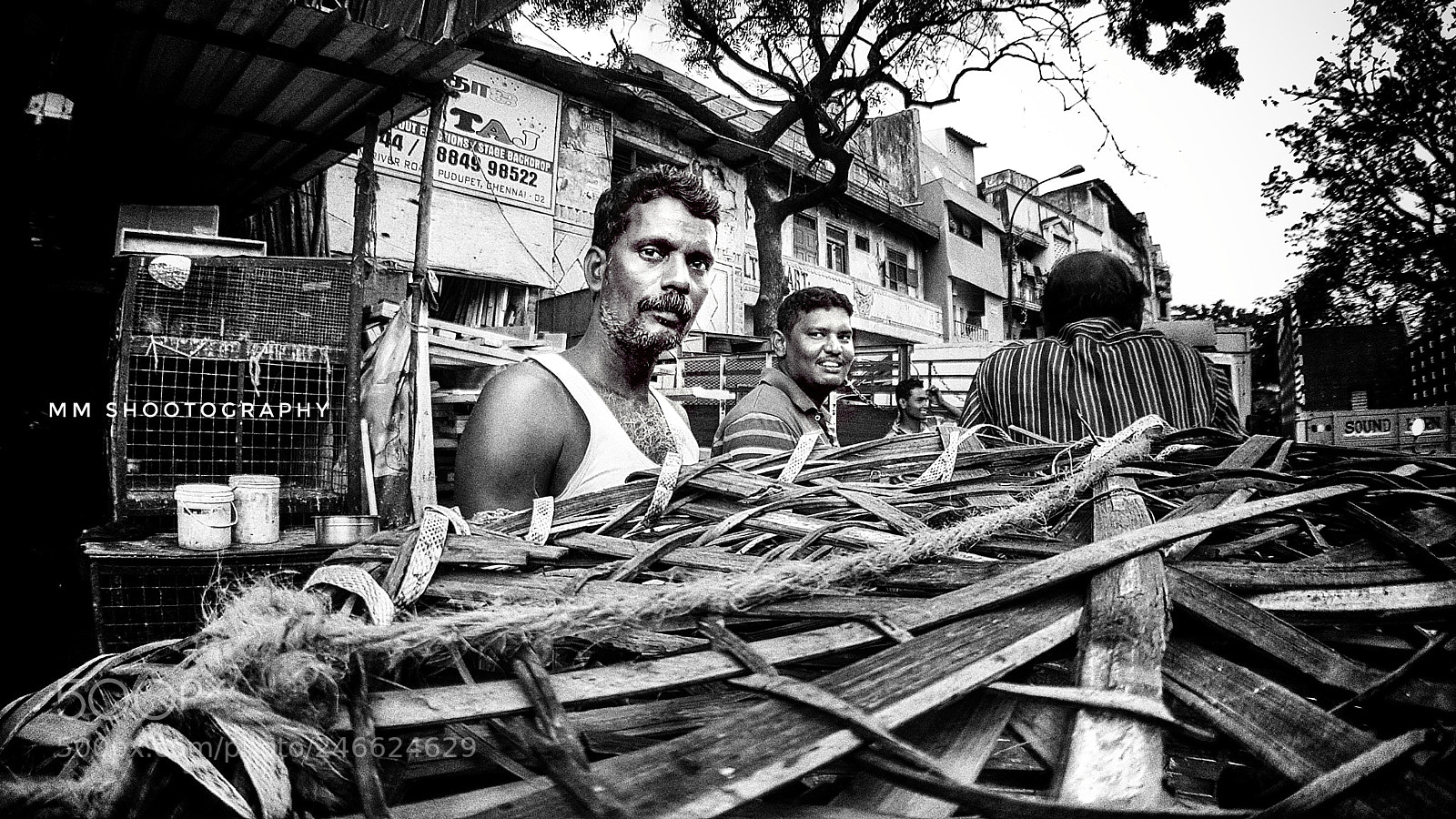 Samsung Galaxy S8+ sample photo. Bamboo boys photography