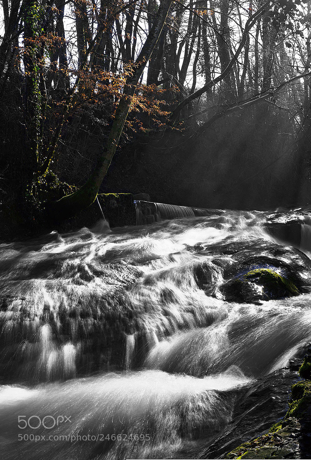 Sony ILCA-77M2 sample photo. Silver river photography