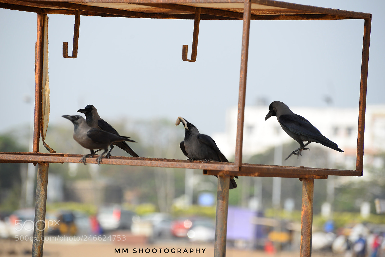 Nikon D610 sample photo. Brunch photography