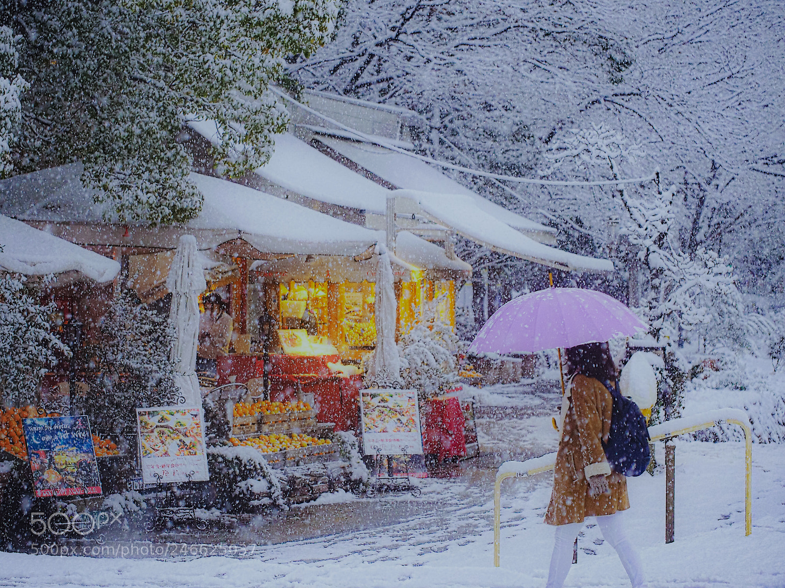 Olympus PEN E-P5 sample photo. A winter morning photography