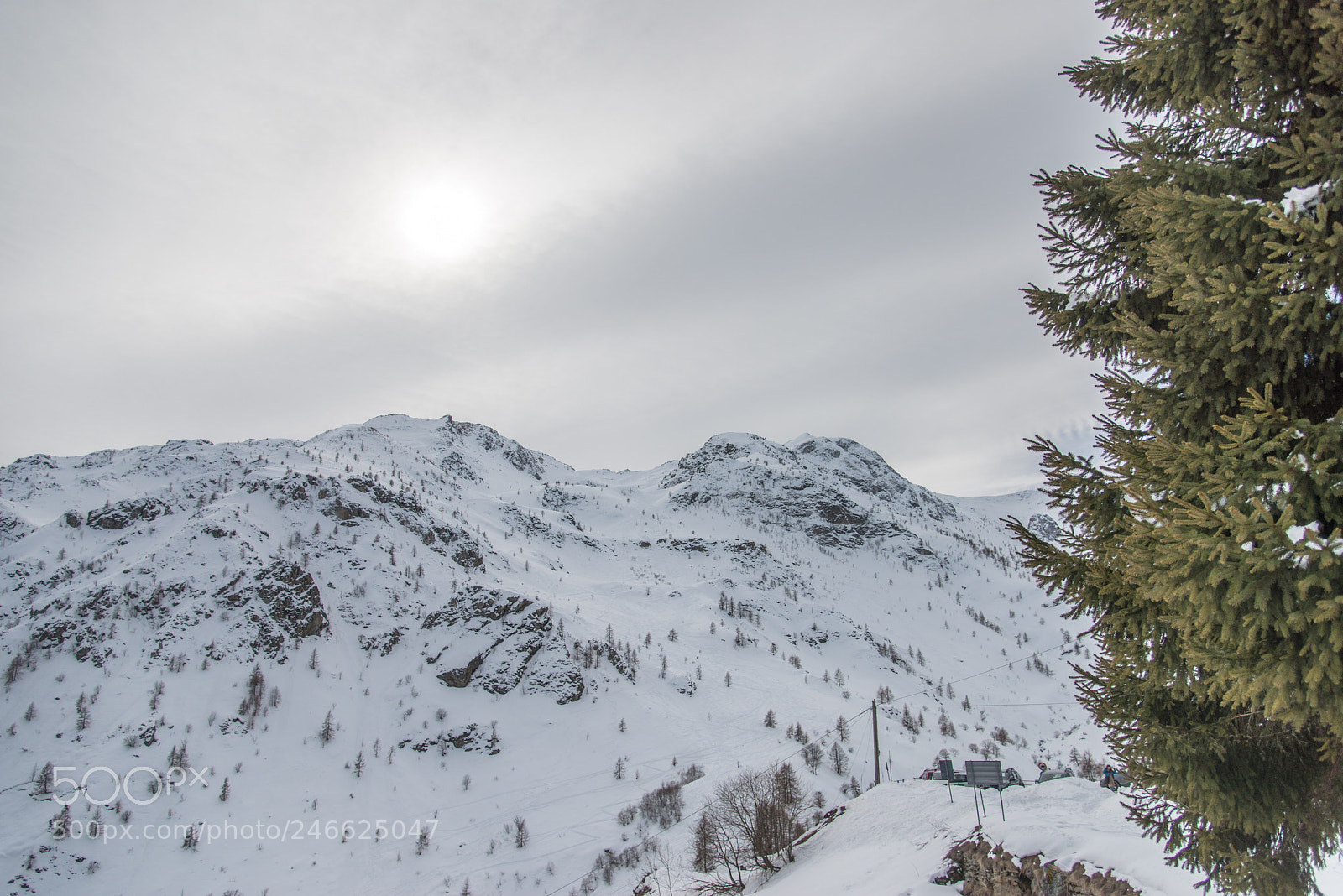 Nikon D800 sample photo. Pine view photography