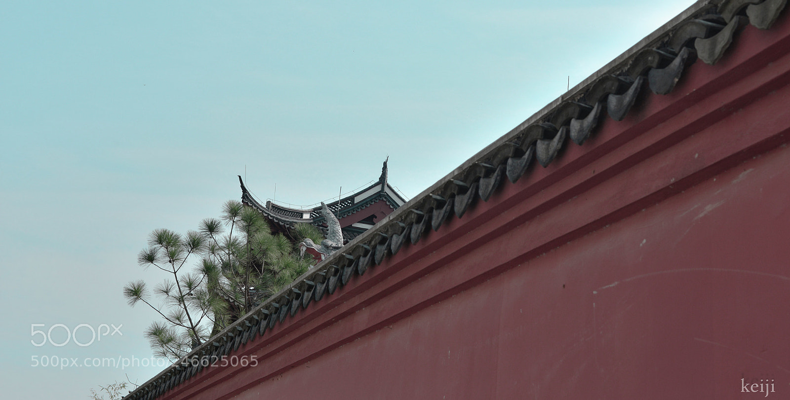 Nikon D610 sample photo. Untitled photography