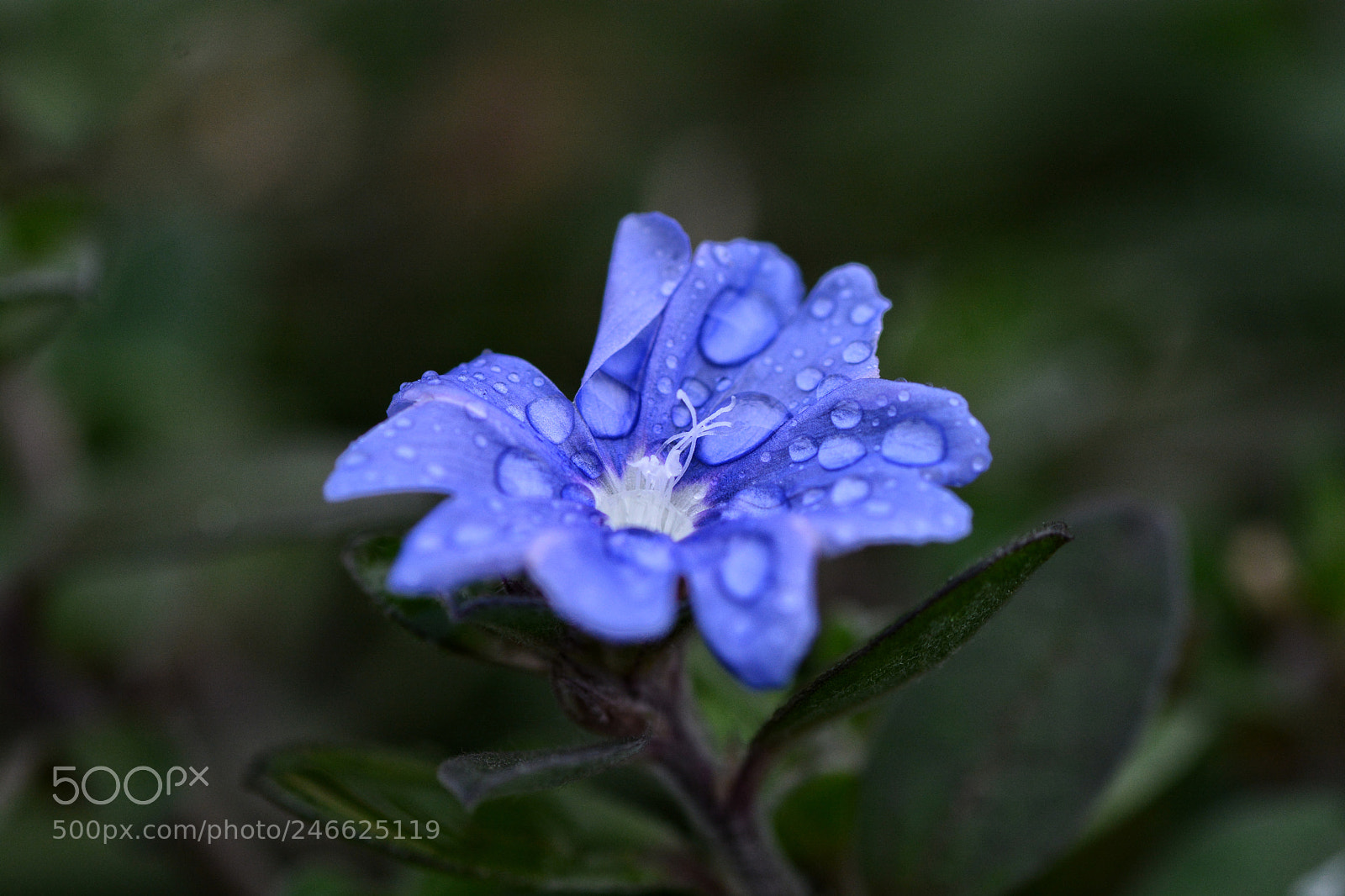 Nikon D7100 sample photo. Untitled photography