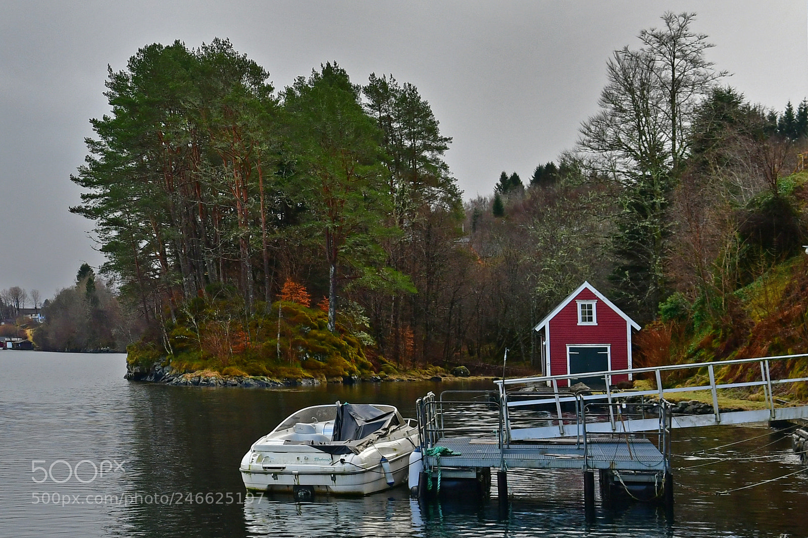Nikon D500 sample photo. At the fjord photography