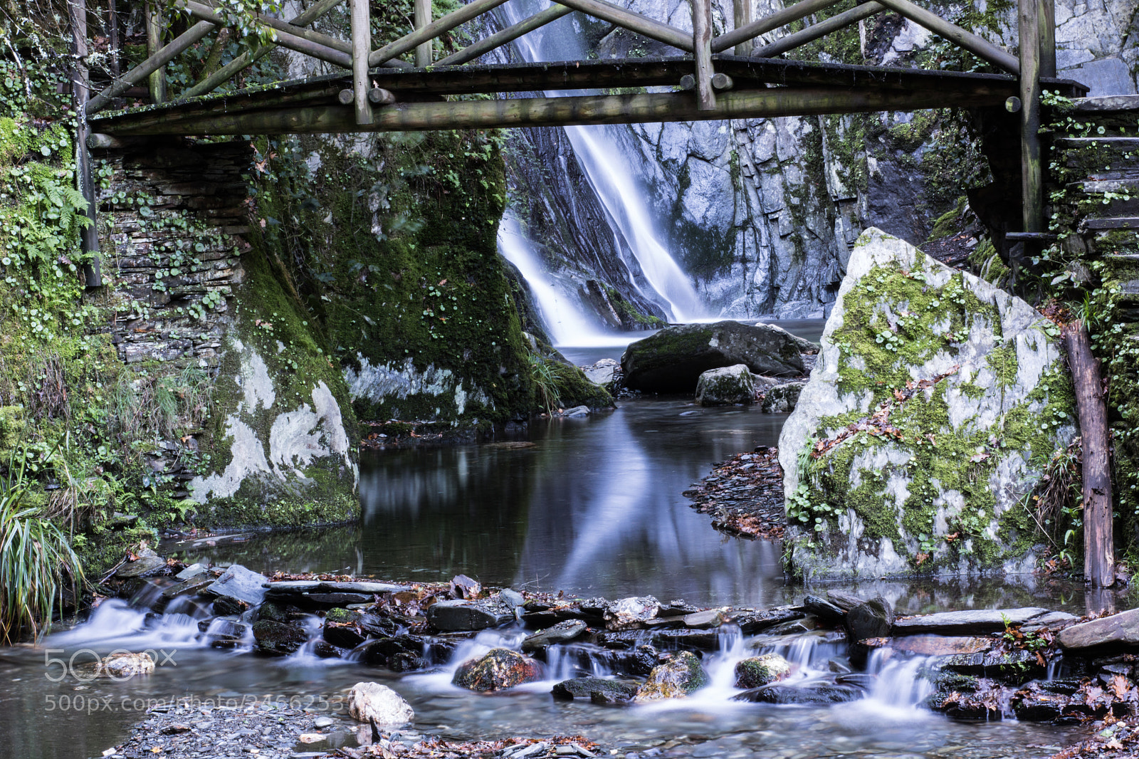 Canon EOS 750D (EOS Rebel T6i / EOS Kiss X8i) sample photo. Little secret photography