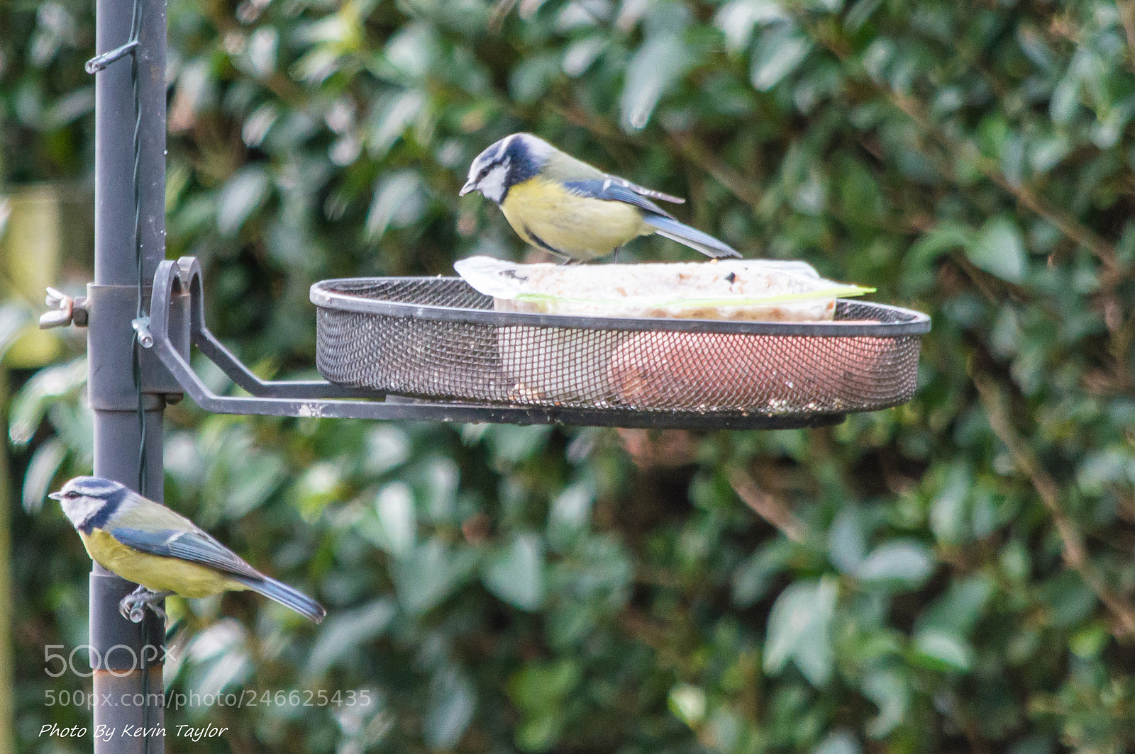 Nikon D3200 sample photo. Untitled photography