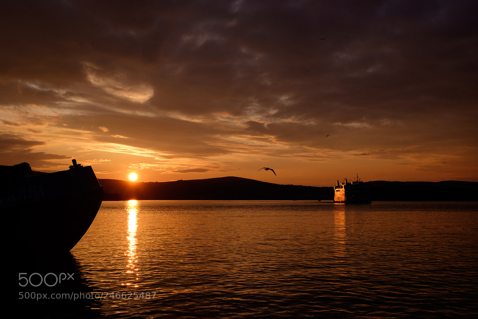 Fujifilm X-T10 sample photo. Untitled photography