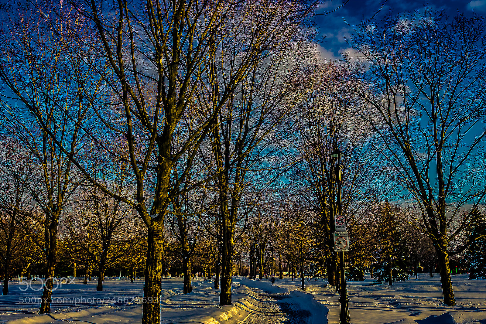 Canon EOS 600D (Rebel EOS T3i / EOS Kiss X5) sample photo. Lasalle parc photography
