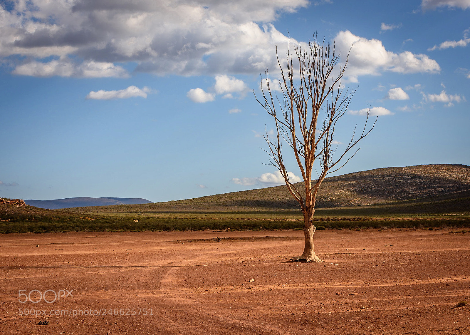 Nikon D810 sample photo. Silence photography