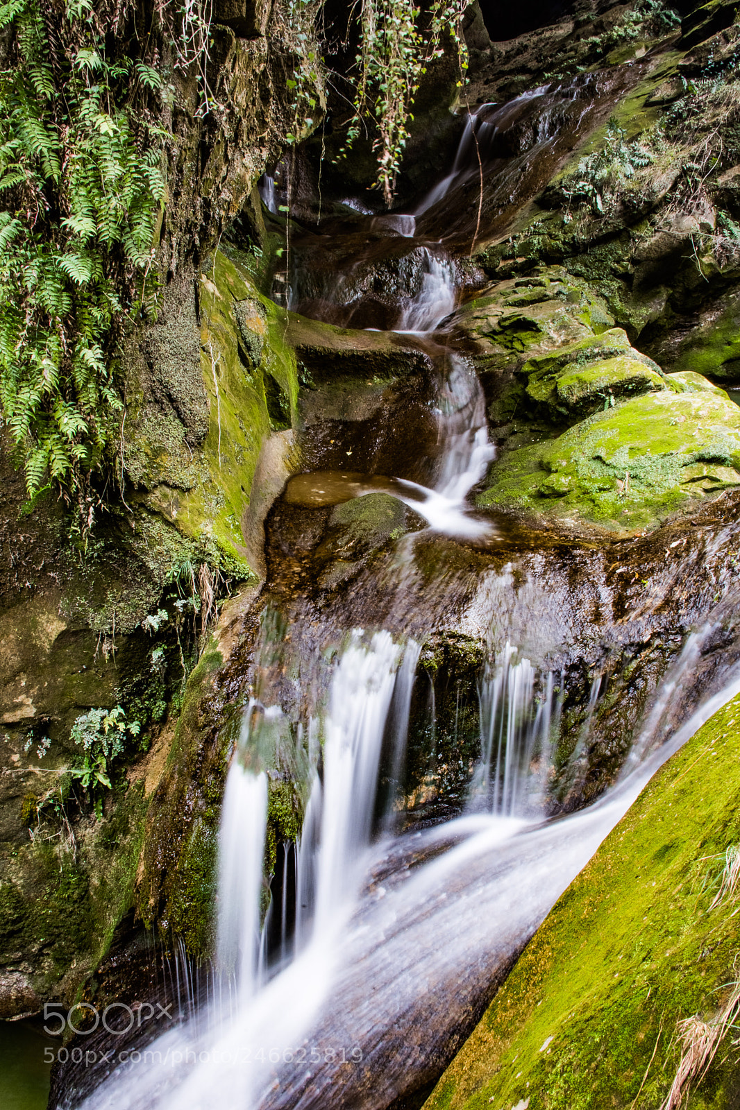 Nikon D7200 sample photo. Untitled photography