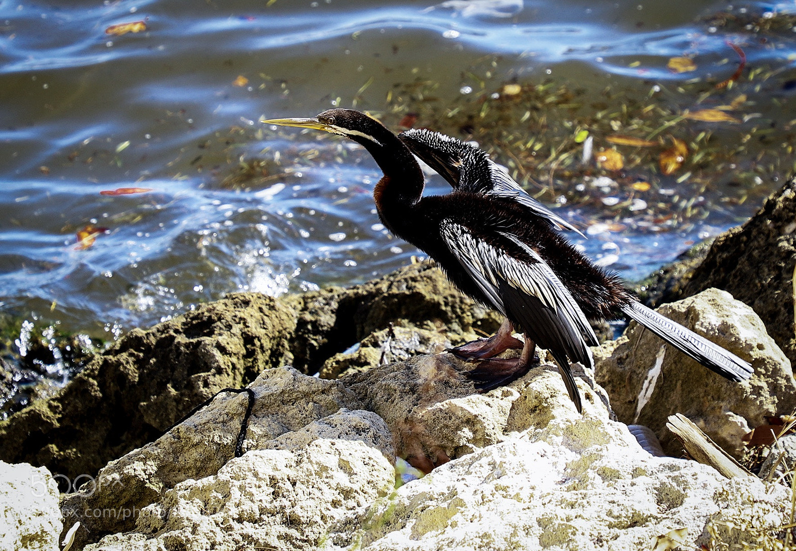 Canon EOS 6D Mark II sample photo. Untitled photography