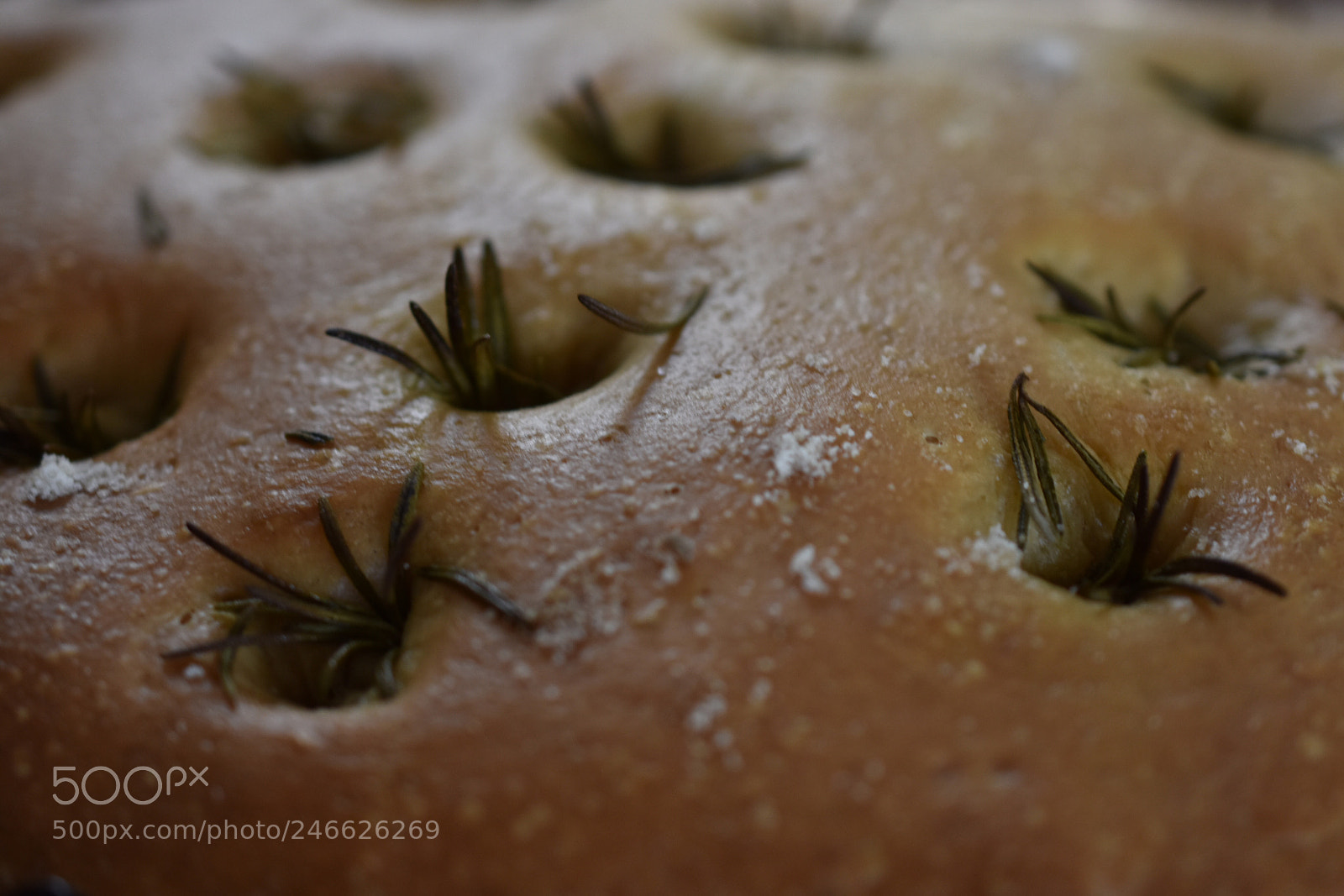Nikon D3400 sample photo. Crusty surface photography