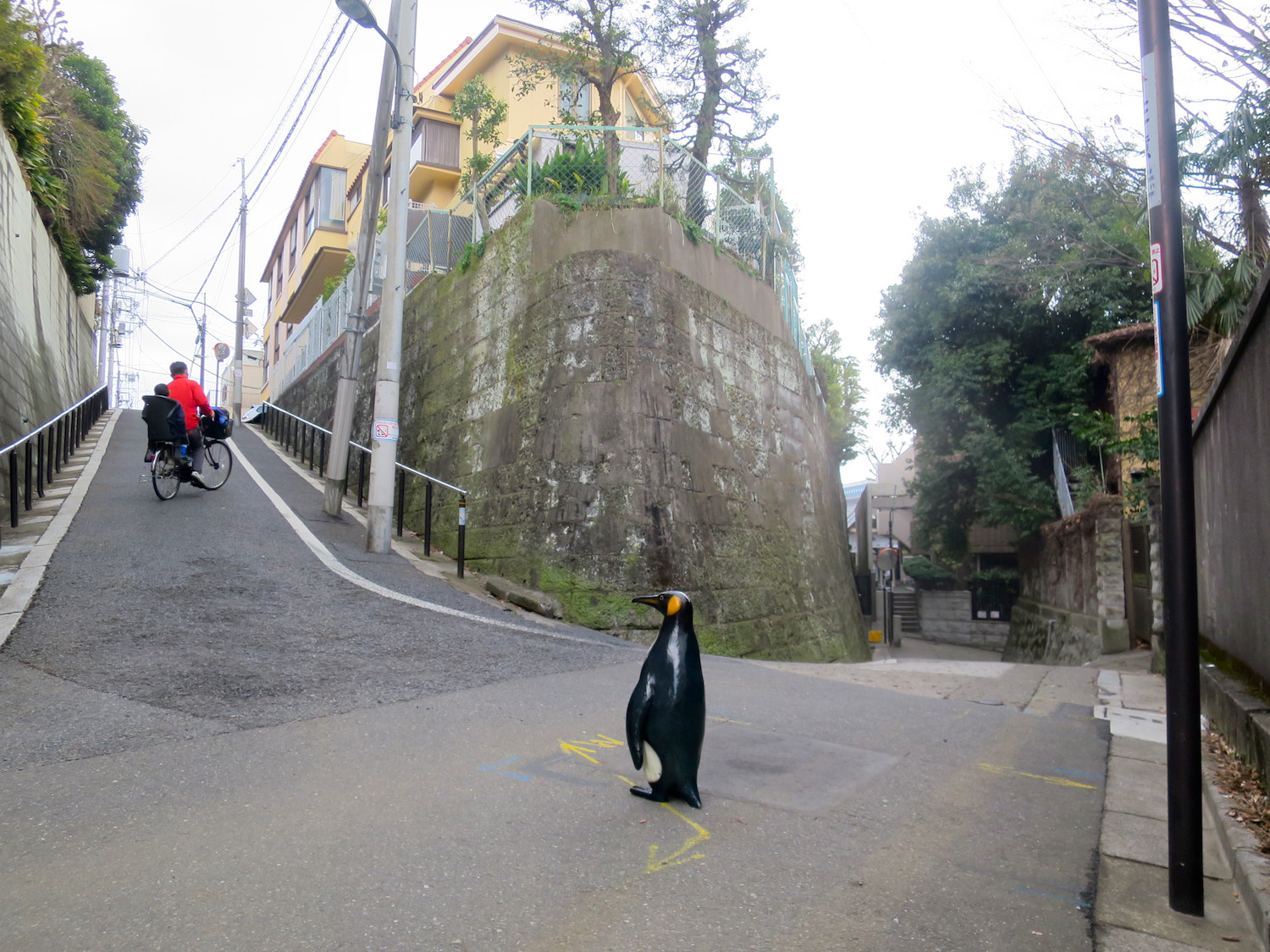 Canon PowerShot S120 sample photo. Cut off photography