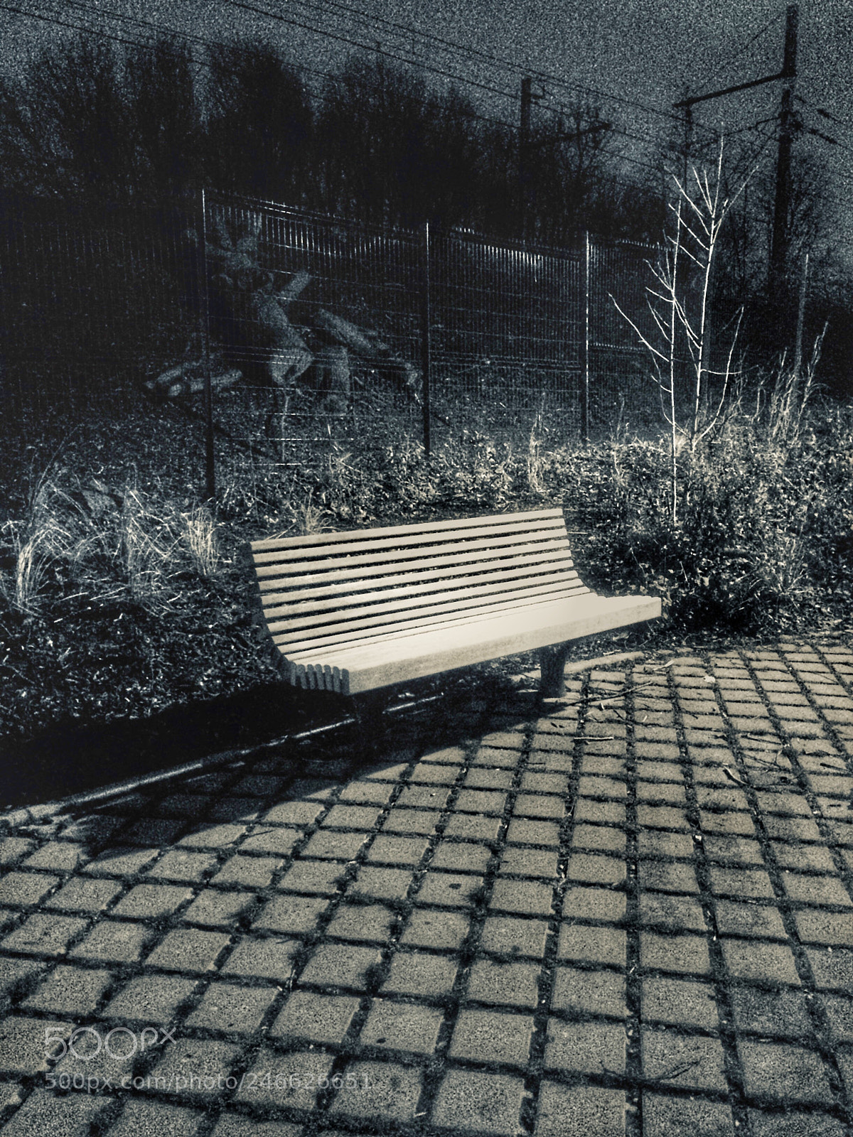 Apple iPhone 5s sample photo. Untitled photography