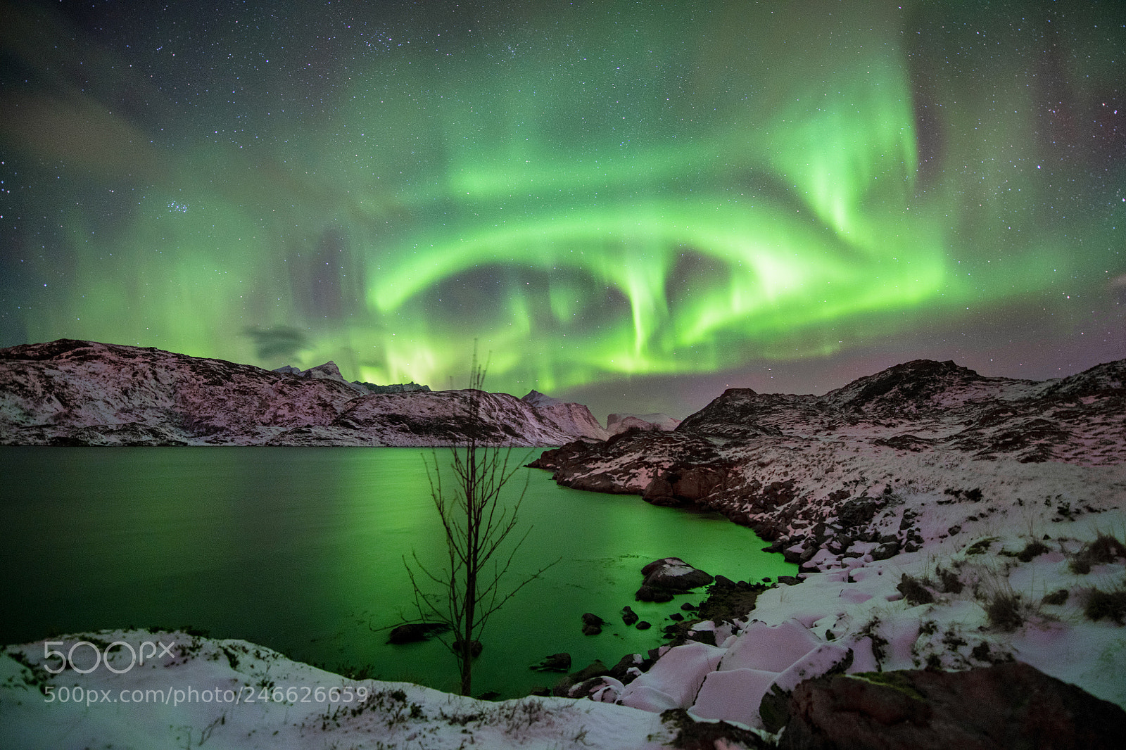 Nikon D850 sample photo. Lofoten lights photography