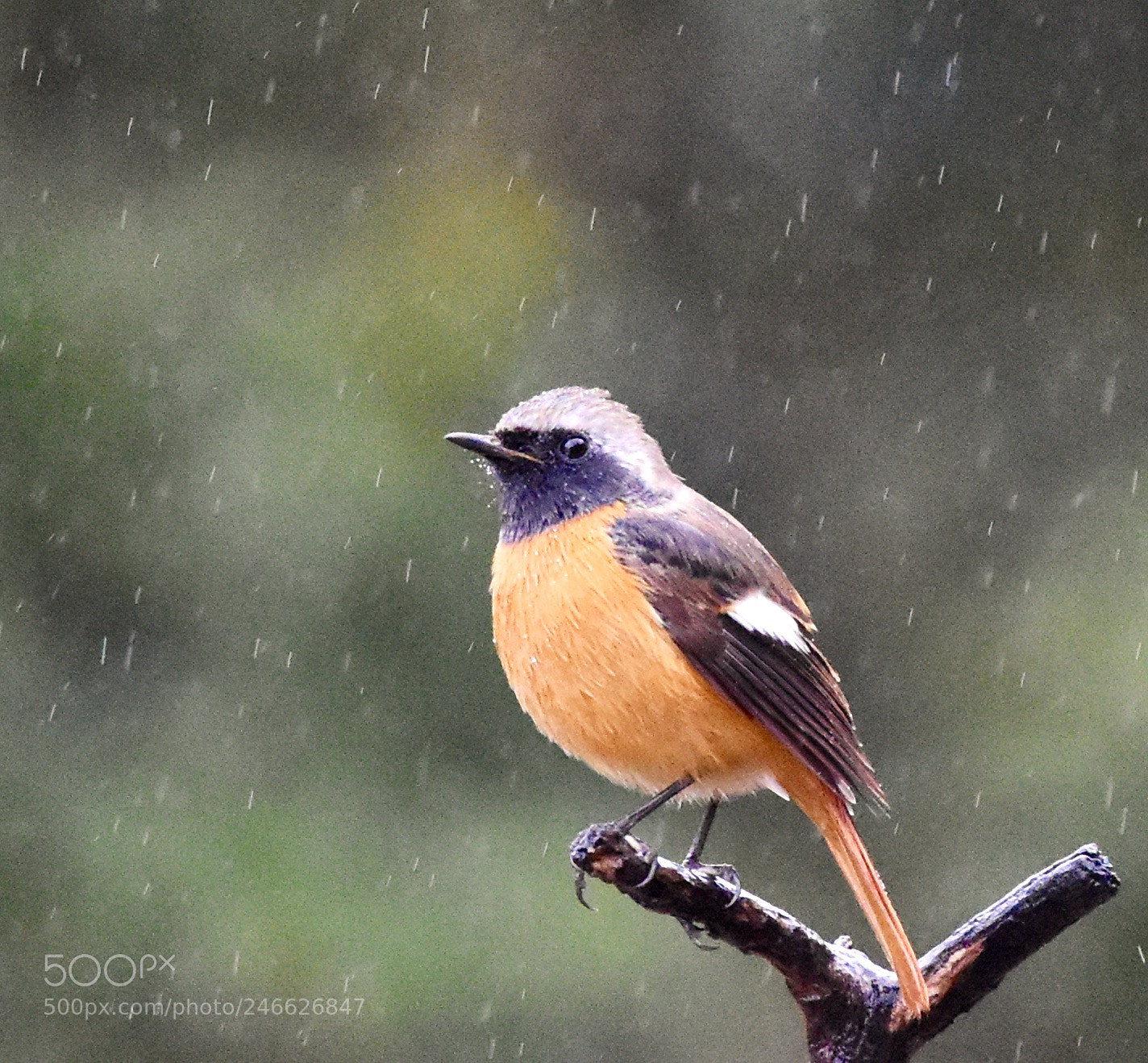 Nikon D7200 sample photo. It's terrible weather... photography