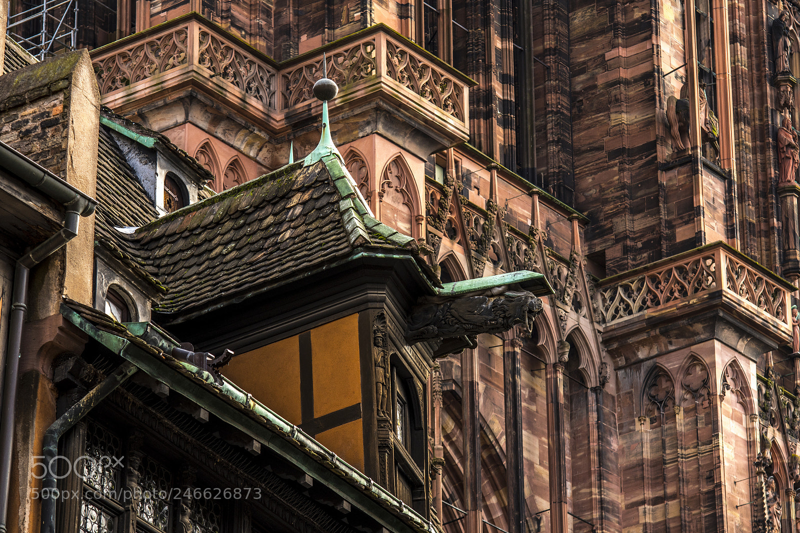 Nikon D500 sample photo. Strasbourg details - roofs photography