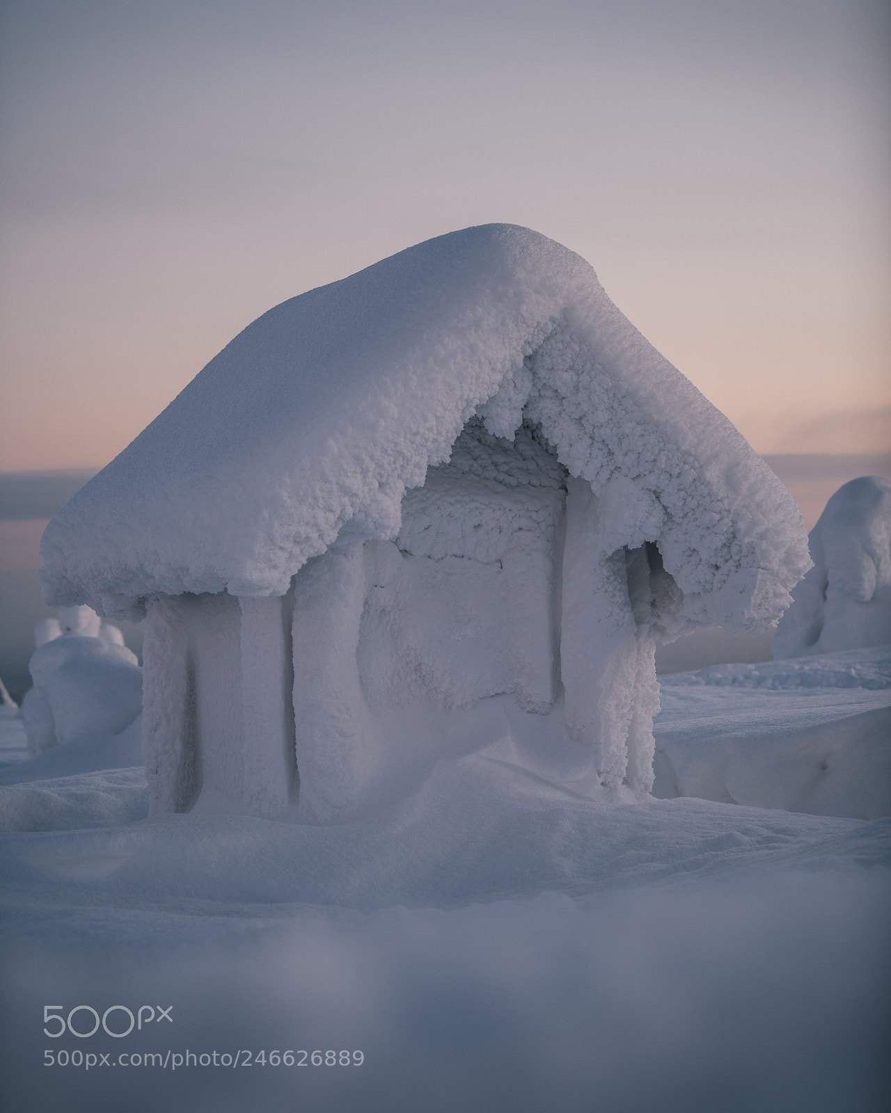 Nikon D850 sample photo. Frozen cabin in finish photography