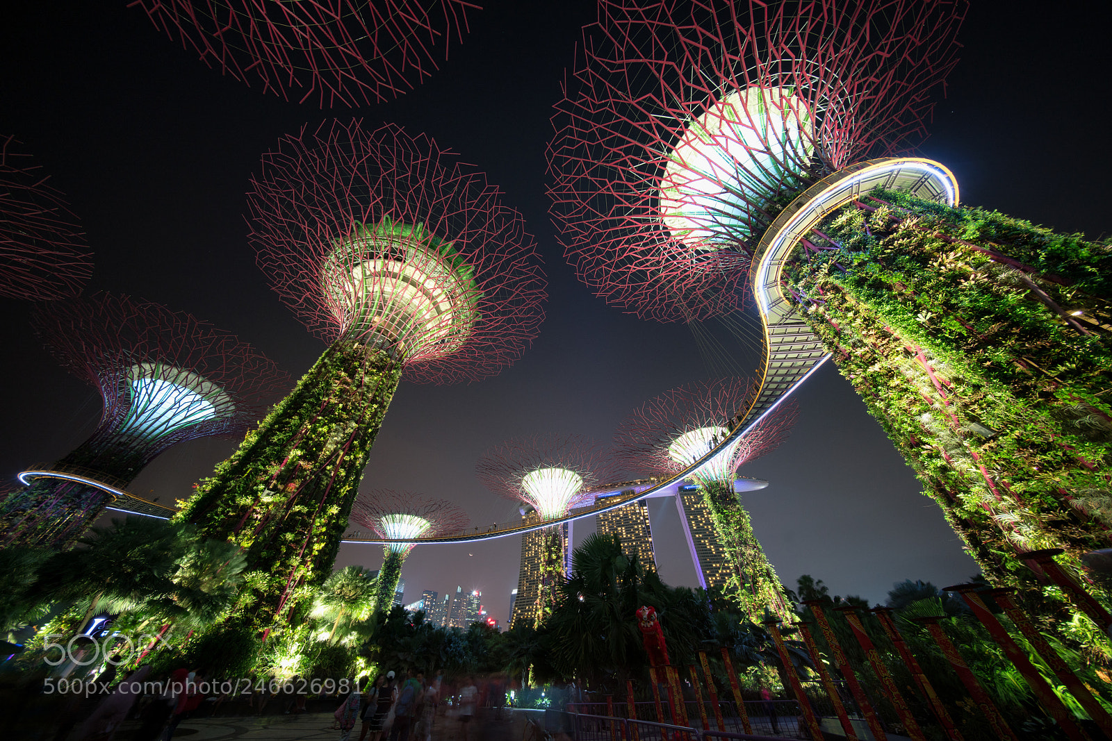 Sony a7R II sample photo. Gardens by the bay photography
