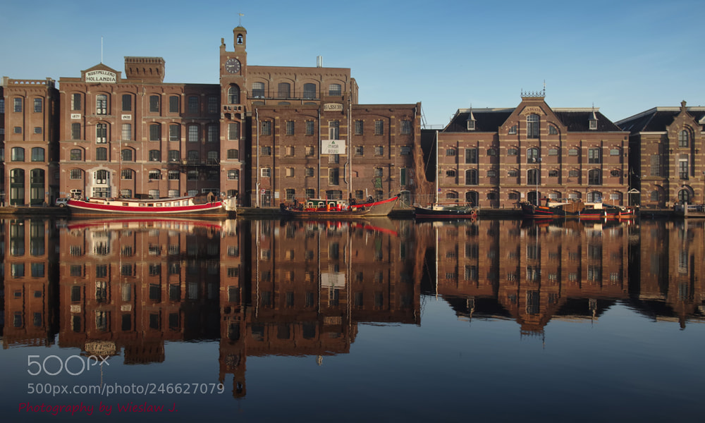 Pentax K-1 sample photo. Goedemorgen. photography