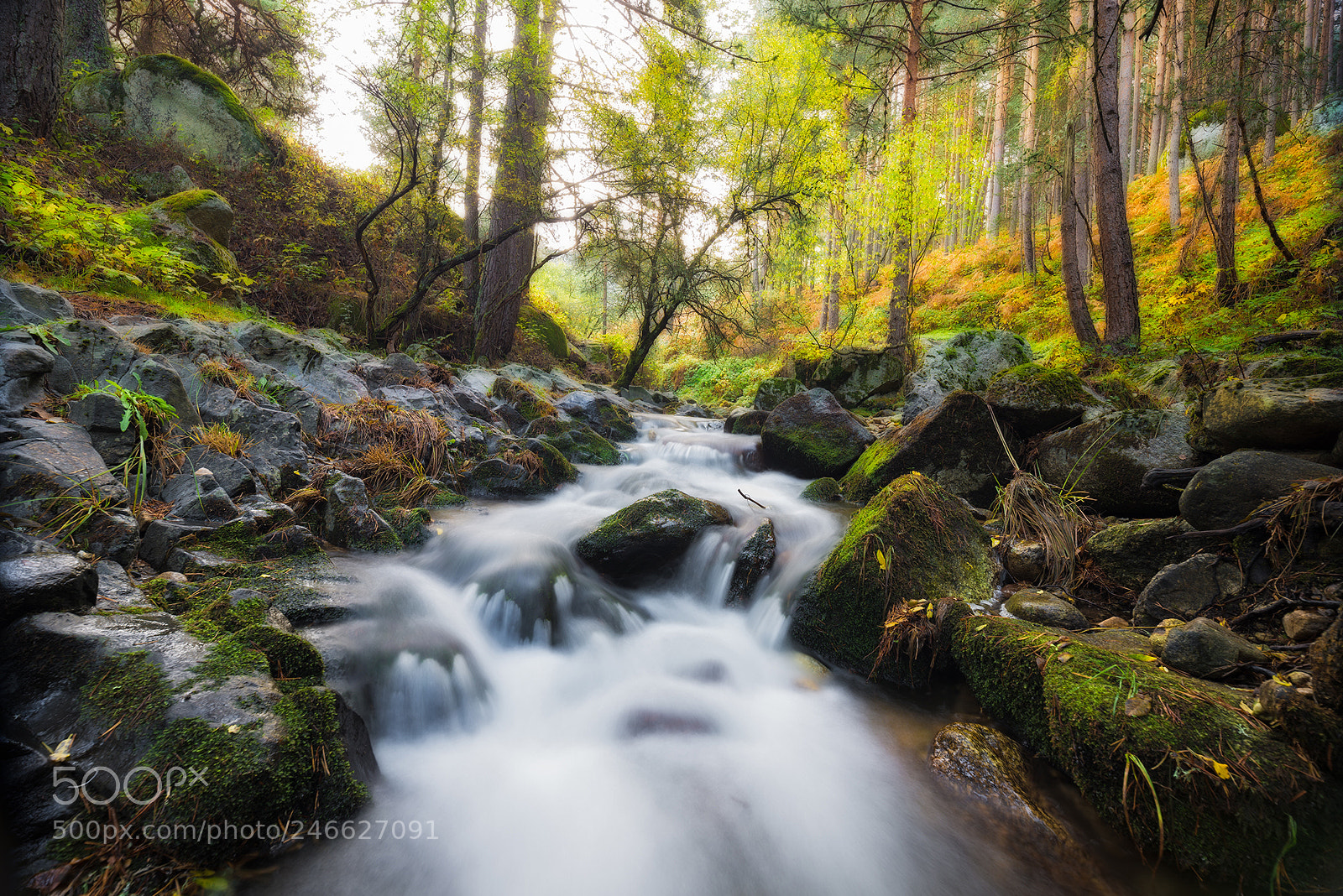 Nikon D610 sample photo. River eresma photography